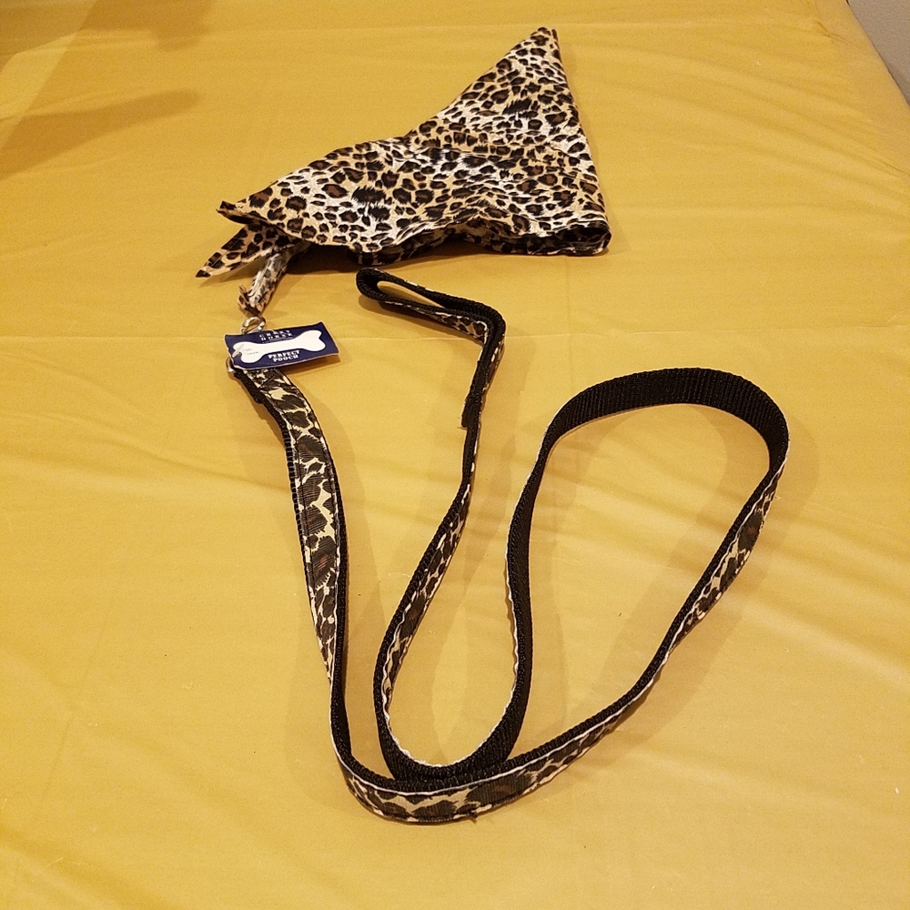 Dog leash with bandana